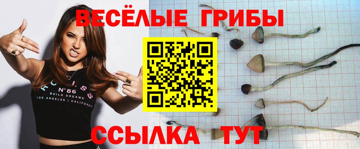 Галлюциногенные грибы ЛСД Махачкала