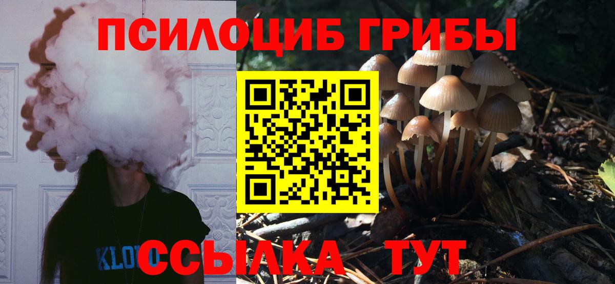 Псилоцибиновые грибы мицелий  Галлюциногенные грибы мицелий  Махачкала  Вход с VPN 