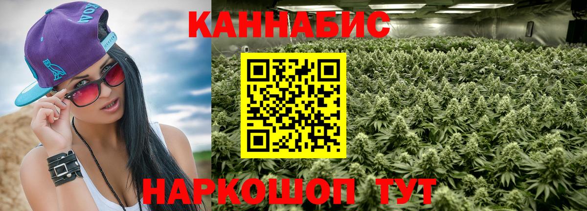 Бошки марихуана сатива  Вход с VPN  Махачкала  Канабис тримм  Бошки Шишки White Widow  Канабис планчик 